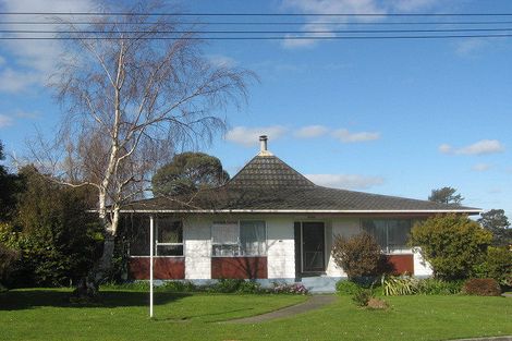 Photo of property in 25 Terrace Street, Marton, 4710