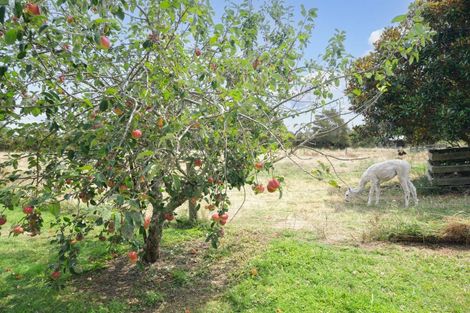 Photo of property in 29 Glenroy Place, Tikitere, Rotorua, 3074