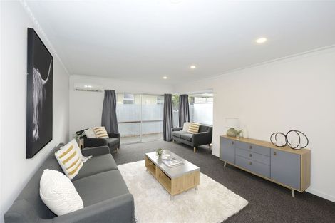 Photo of property in 19 Molesworth Place, Somerfield, Christchurch, 8024