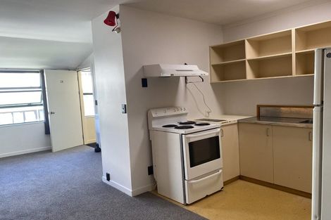 Photo of property in Te Awhina Apartments, 28/22u Sussex Street, Mount Cook, Wellington, 6021