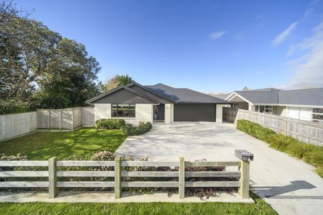Photo of property in 96 Pharazyn Street, Feilding, 4702