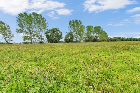 Photo of property in 1406 Cust Road, Cust, Rangiora, 7471