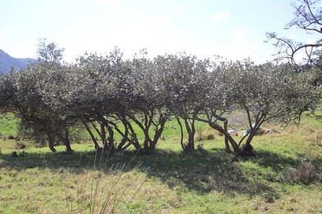 Photo of property in 74b Diggers Valley Road, Herekino, Kaitaia, 0481