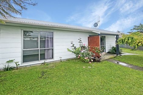 Photo of property in 30 Perth Street, Levin, 5510