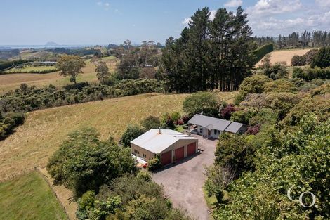 Photo of property in 499 Wainui Road South, Whakamarama, Tauranga, 3180