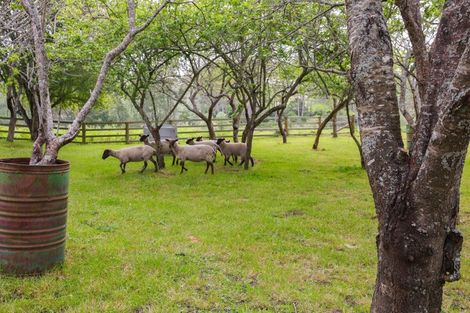 Photo of property in 237 Taihoa Road South, Matamata, 3473