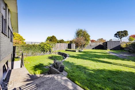 Photo of property in 43 Cassandra Street, Stratford, 4332
