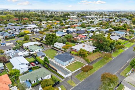 Photo of property in 17 Hinau Street, Maeroa, Hamilton, 3200