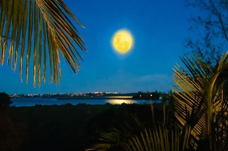 Photo of property in 35 Pipitea Place, Massey, Auckland, 0614