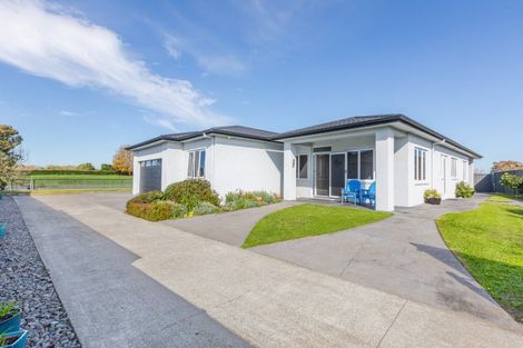 Photo of property in 32 Heynes Place, Clive, 4102