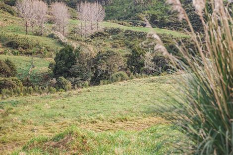 Photo of property in 88 Waere Valley Lane, Warkworth, 0981