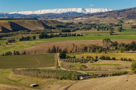 Photo of property in 58 Thomsons Gorge Road, Tarras, Cromwell, 9383