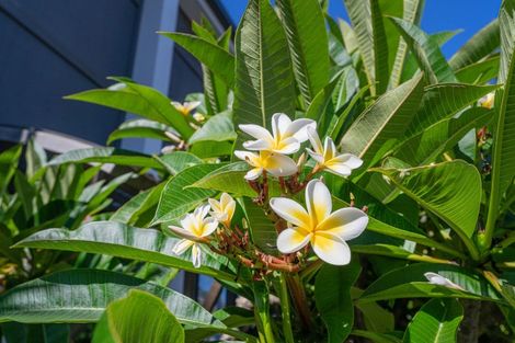 Photo of property in 27/1 Centennial Drive, Whitianga, 3510
