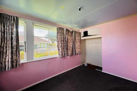 Photo of property in 48 Tweed Street, Roslyn, Palmerston North, 4414