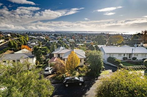 Photo of property in 84 Queen Street, Richmond, 7020