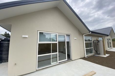 Photo of property in 45u3 Tranmere Road, Fairfield, Hamilton, 3214