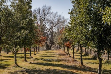 Photo of property in 11 Thelma Place, Cromwell, 9384