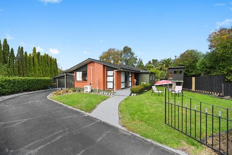 Photo of property in 8 Lorraine Place, Glenview, Hamilton, 3206