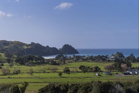 Photo of property in Te Punga, 151f Te Punga Road, Whangapoua, Coromandel, 3582