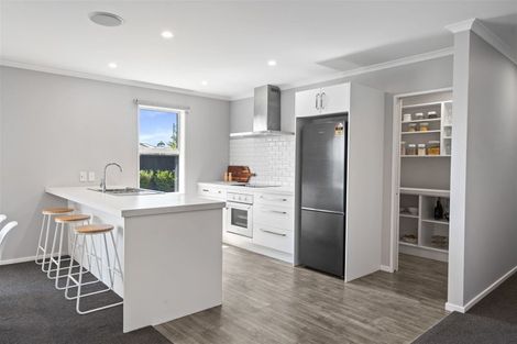 Photo of property in 30 Flint Road, Rolleston, 7614