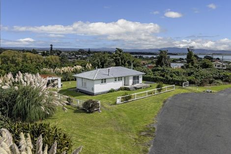 Photo of property in 44 Te Awhe Road, Maketu, 3189