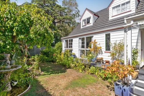 Photo of property in 45a Essex Street, Masterton, 5810