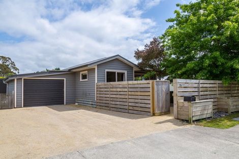 Photo of property in 206 East Street, Greytown, 5712