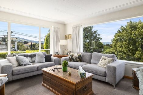 Photo of property in 16 Littlebourne Road, Roslyn, Dunedin, 9010