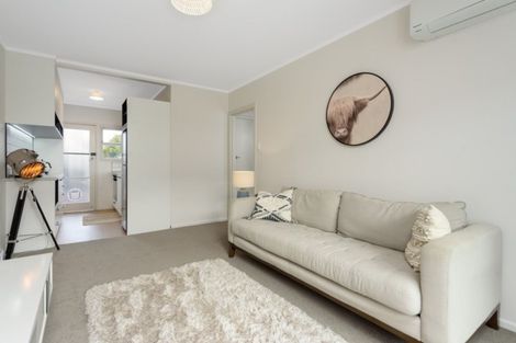 Photo of property in 40 Maunganui Road, Mount Maunganui, 3116
