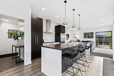 Photo of property in 17 Guyon Street, Marshland, Christchurch, 8083