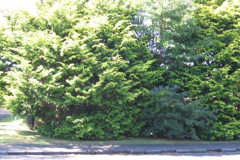 Photo of property in 23 Durham Street, Te Atatu Peninsula, Auckland, 0610