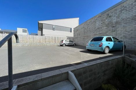Photo of property in 24u9 Princess Terrace, Newtown, Wellington, 6021