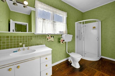 Photo of property in 34 Achilles Street, Stratford, 4332