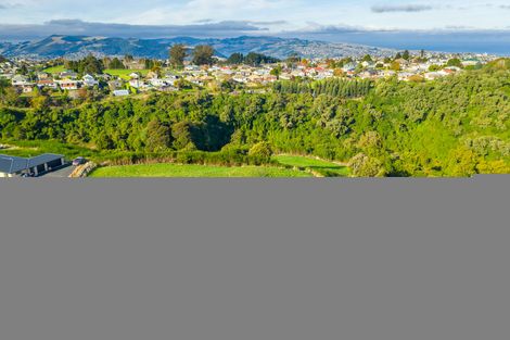 Photo of property in 12 Macleod Avenue, Halfway Bush, Dunedin, 9010