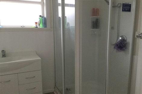 Photo of property in 16 Graham Street, Levin, 5510