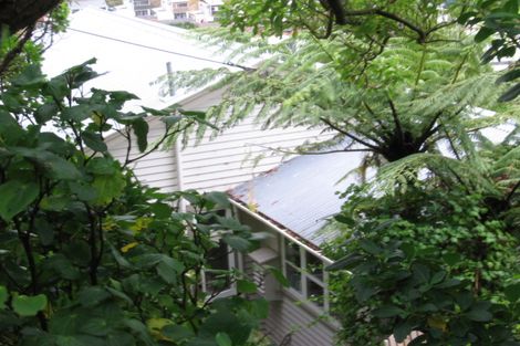 Photo of property in 34 Harland Street, Brooklyn, Wellington, 6021