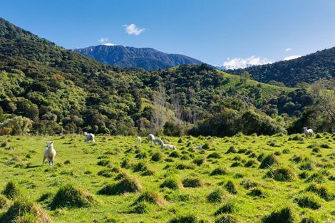 Photo of property in 53 Grange Road, Hapuku, Kaikoura, 7371