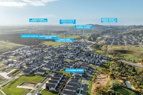 Photo of property in 13 Cyperus Street, Flat Bush, 2019