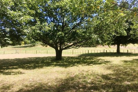 Photo of property in 202 Tapairu Road, Waipawa, 4275
