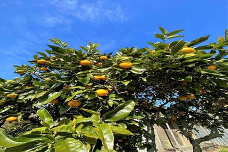 Photo of property in 29 Manapouri Street, Tikipunga, Whangarei, 0112