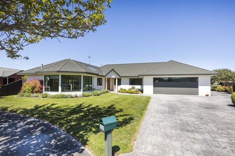 Photo of property in 16 Tudor Grove, Feilding, 4702