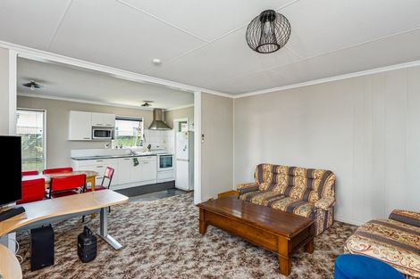 Photo of property in 179 Tiro Tiro Road, Levin, 5510