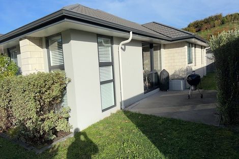 Photo of property in 28 Pakanga Grove, Pyes Pa, Tauranga, 3112