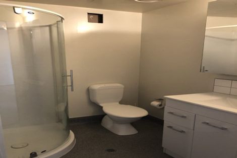 Photo of property in Dual Apartments, 301/142u Vivian Street, Te Aro, Wellington, 6011