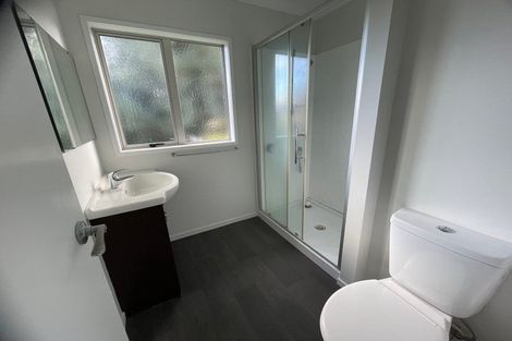 Photo of property in 56 Pine Avenue, Melville, Hamilton, 3206