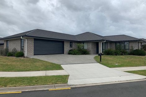Photo of property in 56 Edgeview Crescent, Fitzroy, Hamilton, 3206