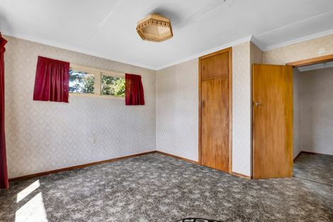 Photo of property in 13 Brecon Road, Stratford, 4332