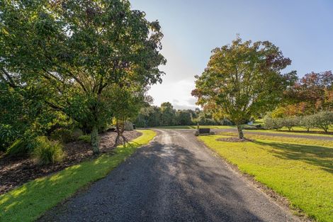 Photo of property in 995f Purangi Road, Cooks Beach, Whitianga, 3591