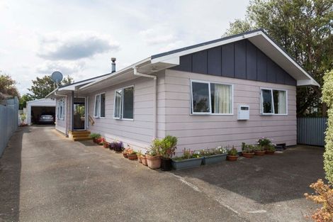 Photo of property in 5 Manila Street, Dannevirke, 4930