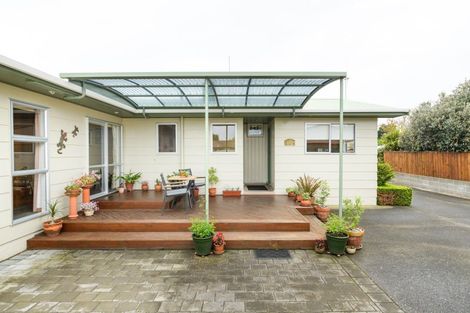 Photo of property in 70 Sherwill Street, Feilding, 4702